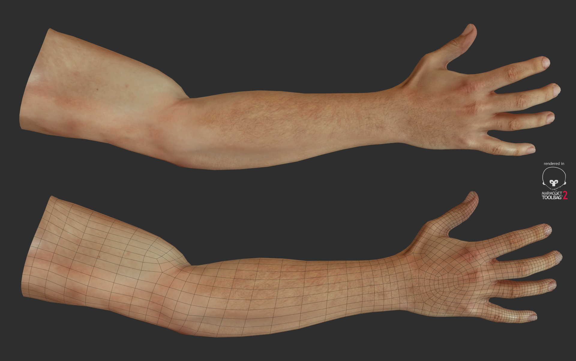 Arm texture. Рука человека. Рука полностью. Рука от плеча до кисти. Мужские кисти рук.